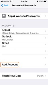 iPhone ios11 Accounts & Passwords Screen