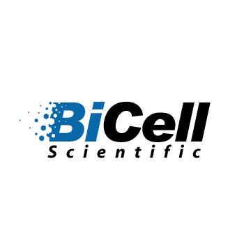 bicell-best-logo-design-st-louis05