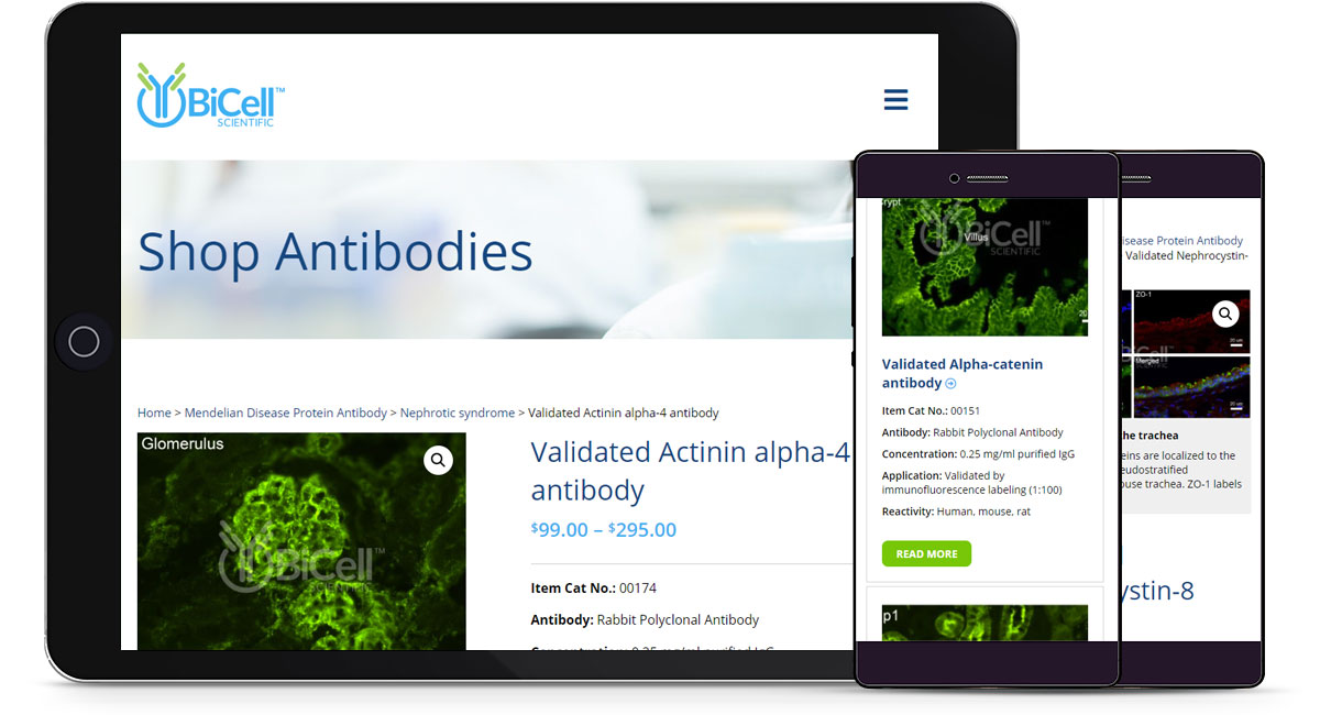 validated-antibodies-responsive-design